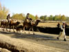 Afghanistan